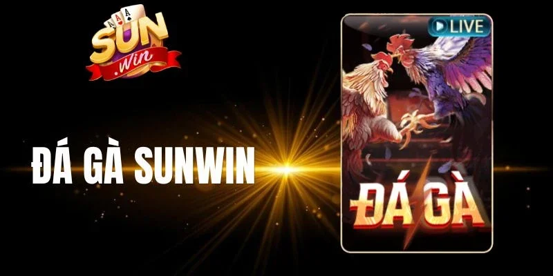 Quy định mức thưởng đá gà Sunwin