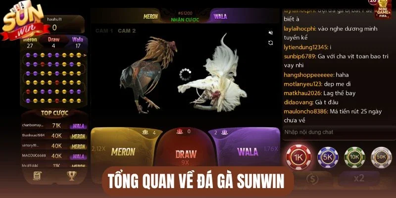 Tổng quan về đá gà Sunwin